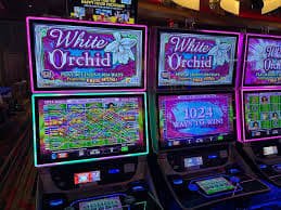 9 win bet